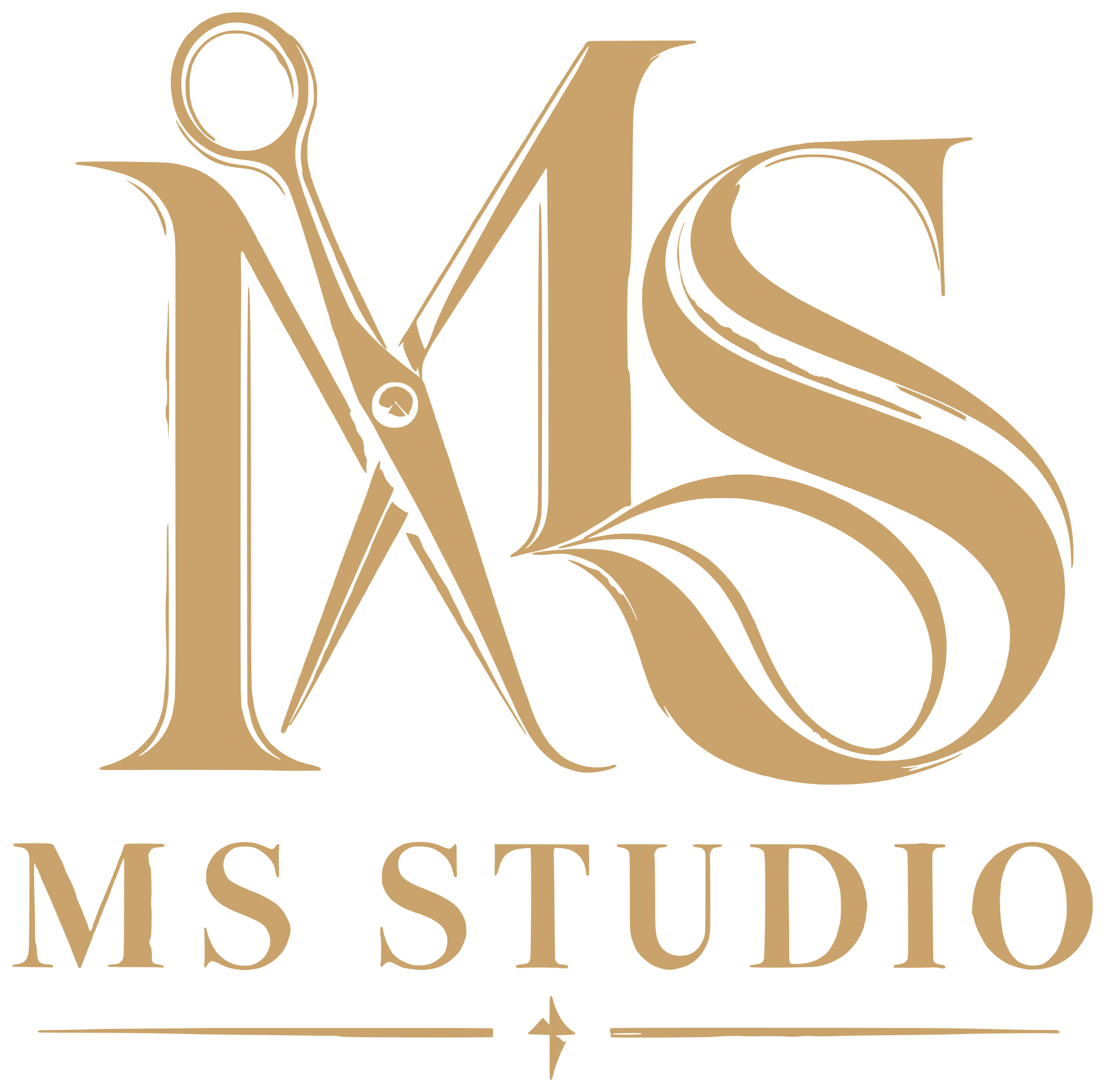 MS Studio